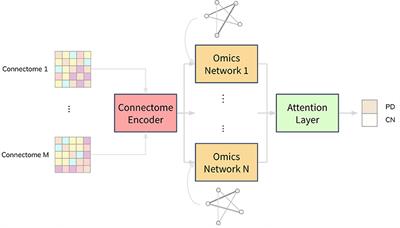 Combining Neuroimaging and Omics Datasets for Disease Classification Using <mark class="highlighted">Graph Neural Networks</mark>